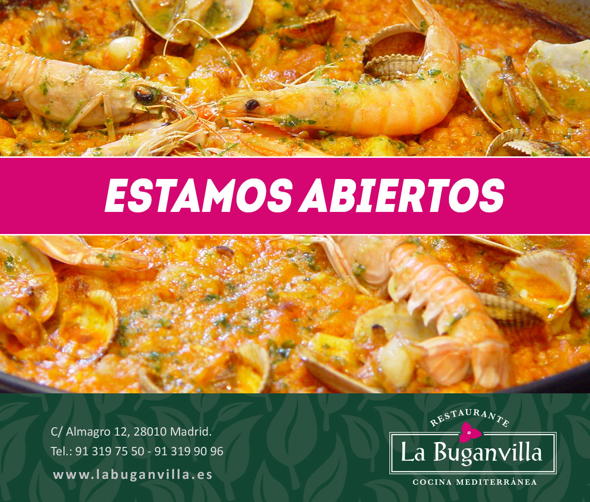 BUGANVILLA ABIERTOS